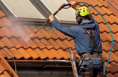 Démoussage et hydrofuge de toiture à Cuzion